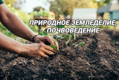 Природное земледелие, почвоведение