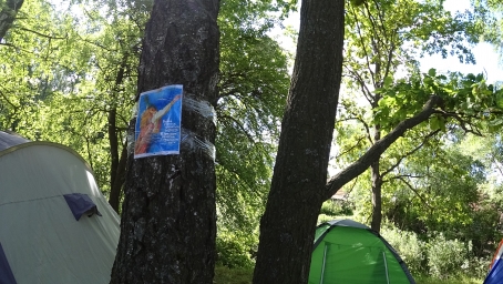 Продолжается смена в палаточном лагере "Космодесант" - 2019 6
